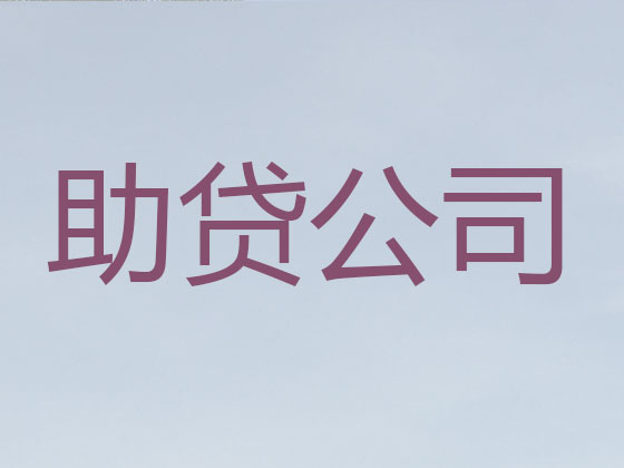 大丰信用贷款-银行抵押贷款
